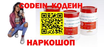 стафф Кингисепп