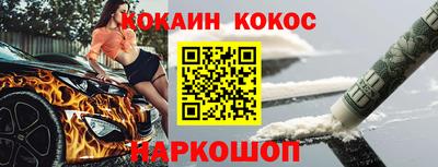 стафф Кингисепп