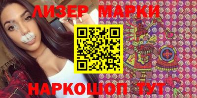 стафф Кингисепп