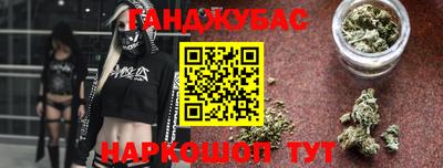 стафф Кингисепп