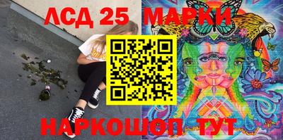 стафф Кингисепп