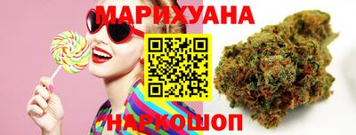 стафф Кингисепп