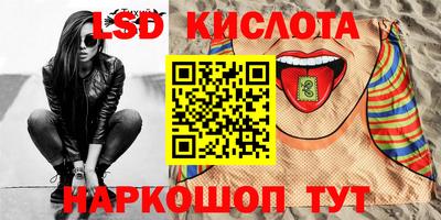 стафф Кингисепп