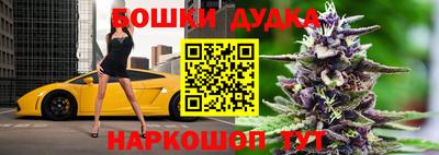 стафф Кингисепп