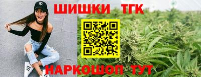 стафф Кингисепп