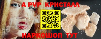 стафф Кингисепп