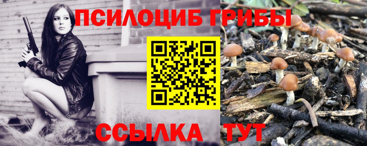 Псилоцибиновые грибы Psilocybe  Вход с VPN  Ковров 